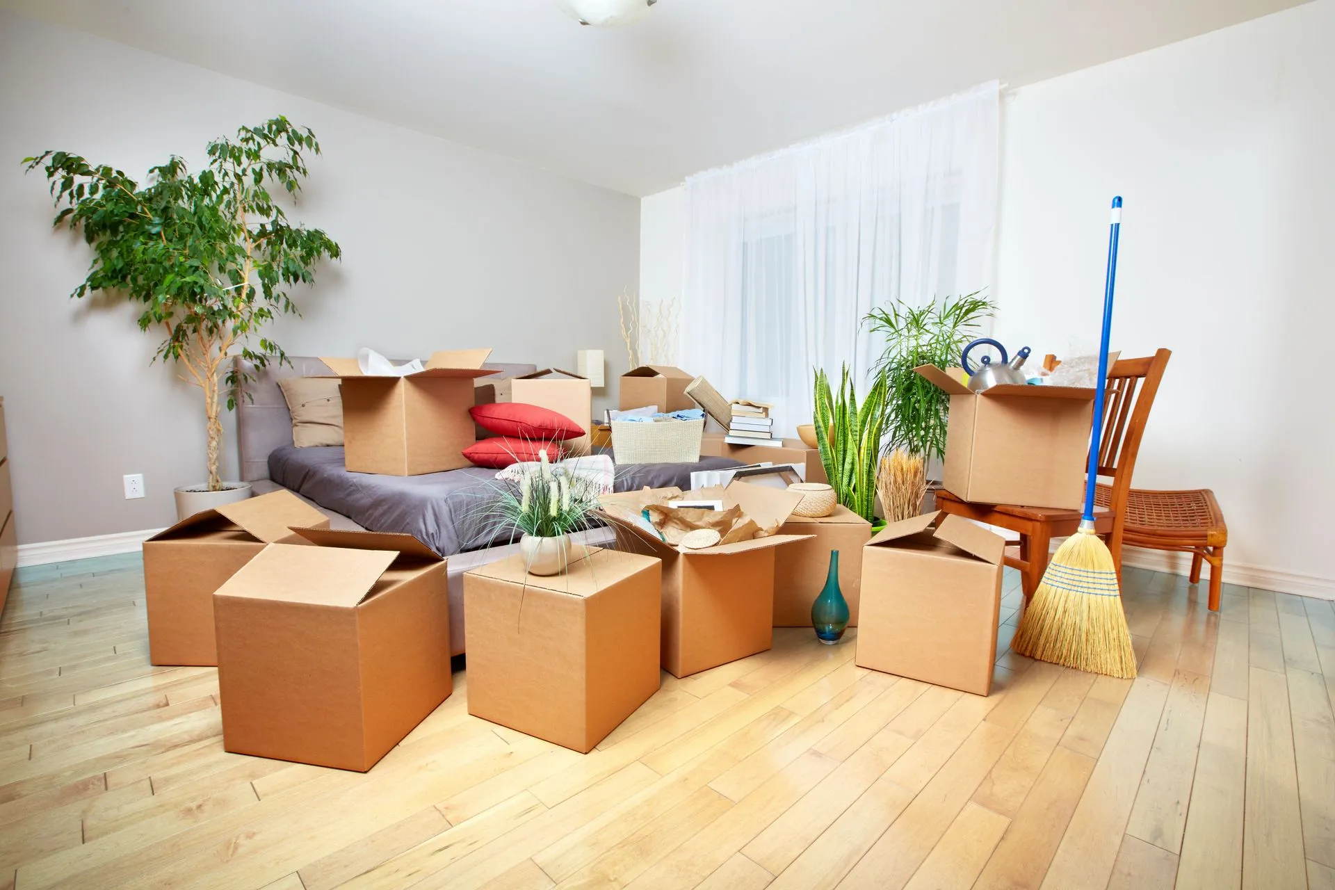 Move-In and Move-Out Cleaning prepares a home filled with moving boxes for a spotless, fresh, and stress-free transition into or out of the property.