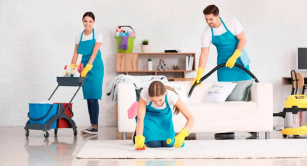 Detail Cleaning for a Fresh Living Room Detail Cleaning a living room rug and sofa for a fresh, spotless home.